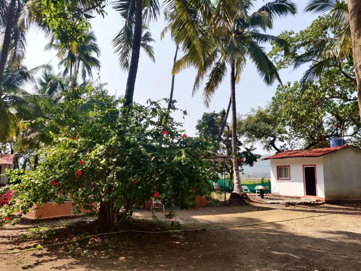 Hotel Sereno Farms Alībāg Exterior foto